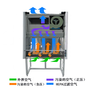 生物安全柜工作原理 生物安全柜原理