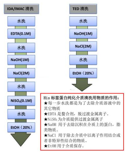 重組蛋白親和層析純化 重組蛋白親和層析純化